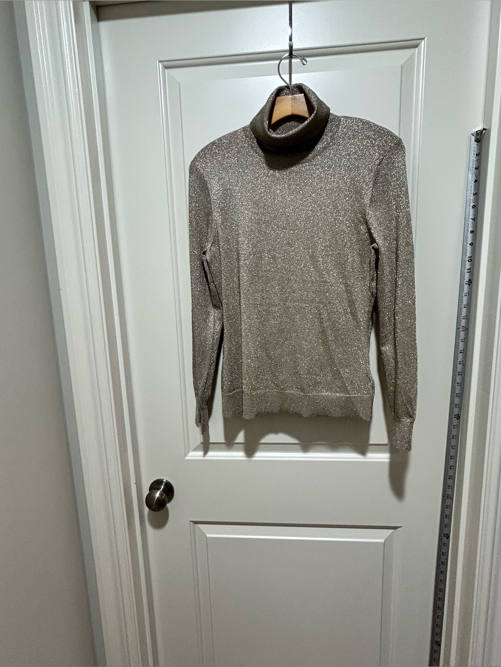 Antonio Melani NWT women’s size M Metallic Taupe Cowl neck stretchy Sweater